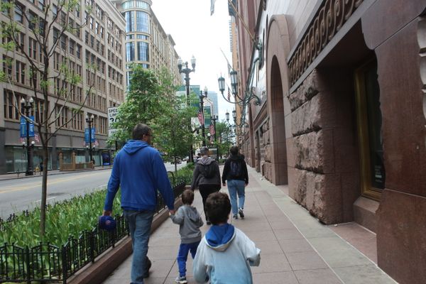 Trip to the library thumbnail