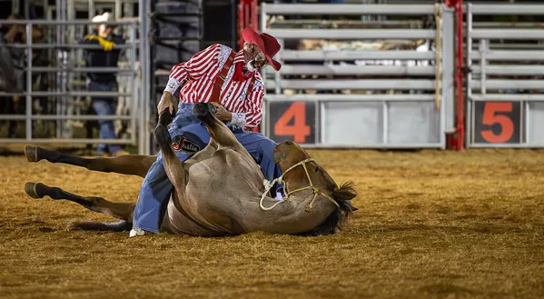 A Rodeo Cowboy with his horse Otis thumbnail