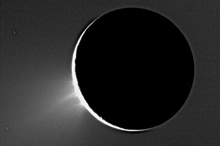 The plumes were first discovered in 2006 when the Cassini spacecraft spotted the geysers shooting water and other organic materials at high velocities hundreds of miles into space near the moon's south pole.

