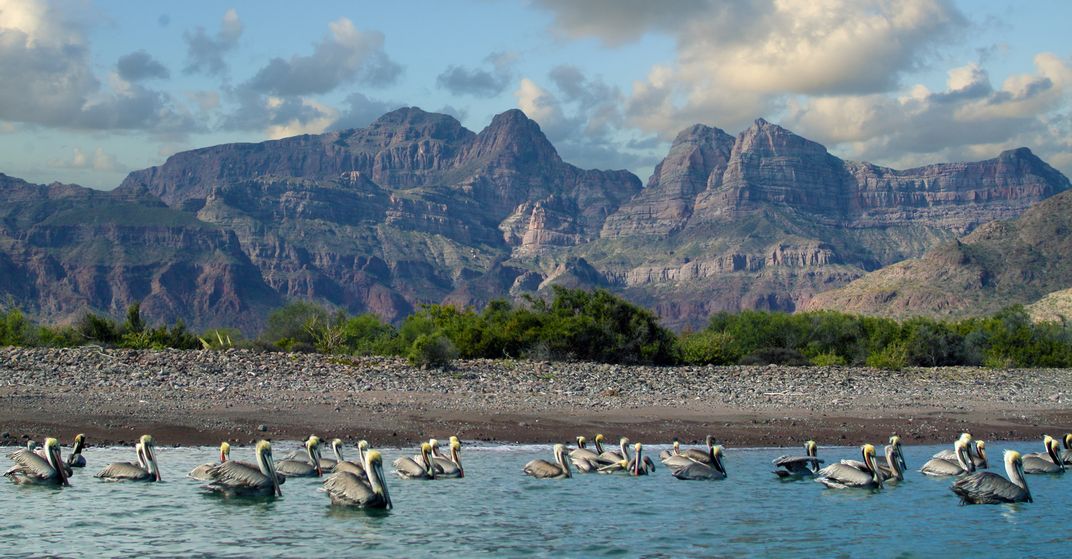 Loreto Area, Baja, Mexico