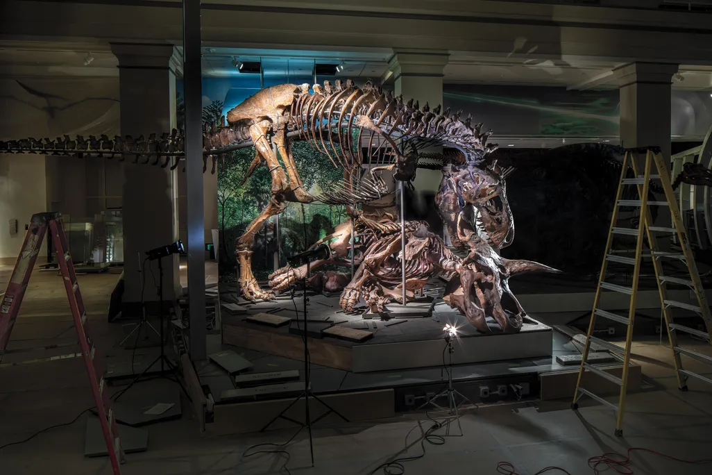 T. Rex in Deep Time exhibit