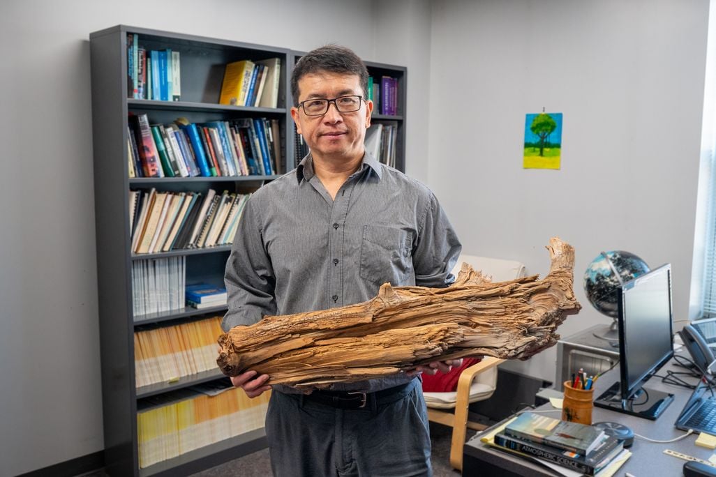scientist holding up an ancient log