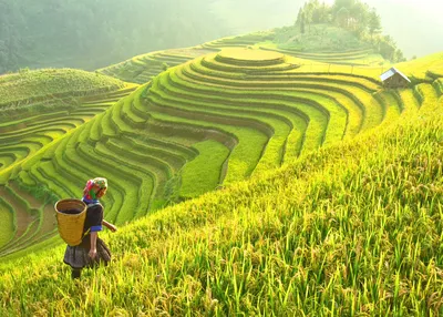 southeast-asia-tapestry-of-kingdoms-and-cultures