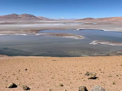 Life could have originated on Mars in an environment like this salt flat in South America's Altiplano region.