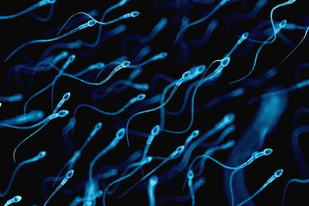 An illustration of human sperm.