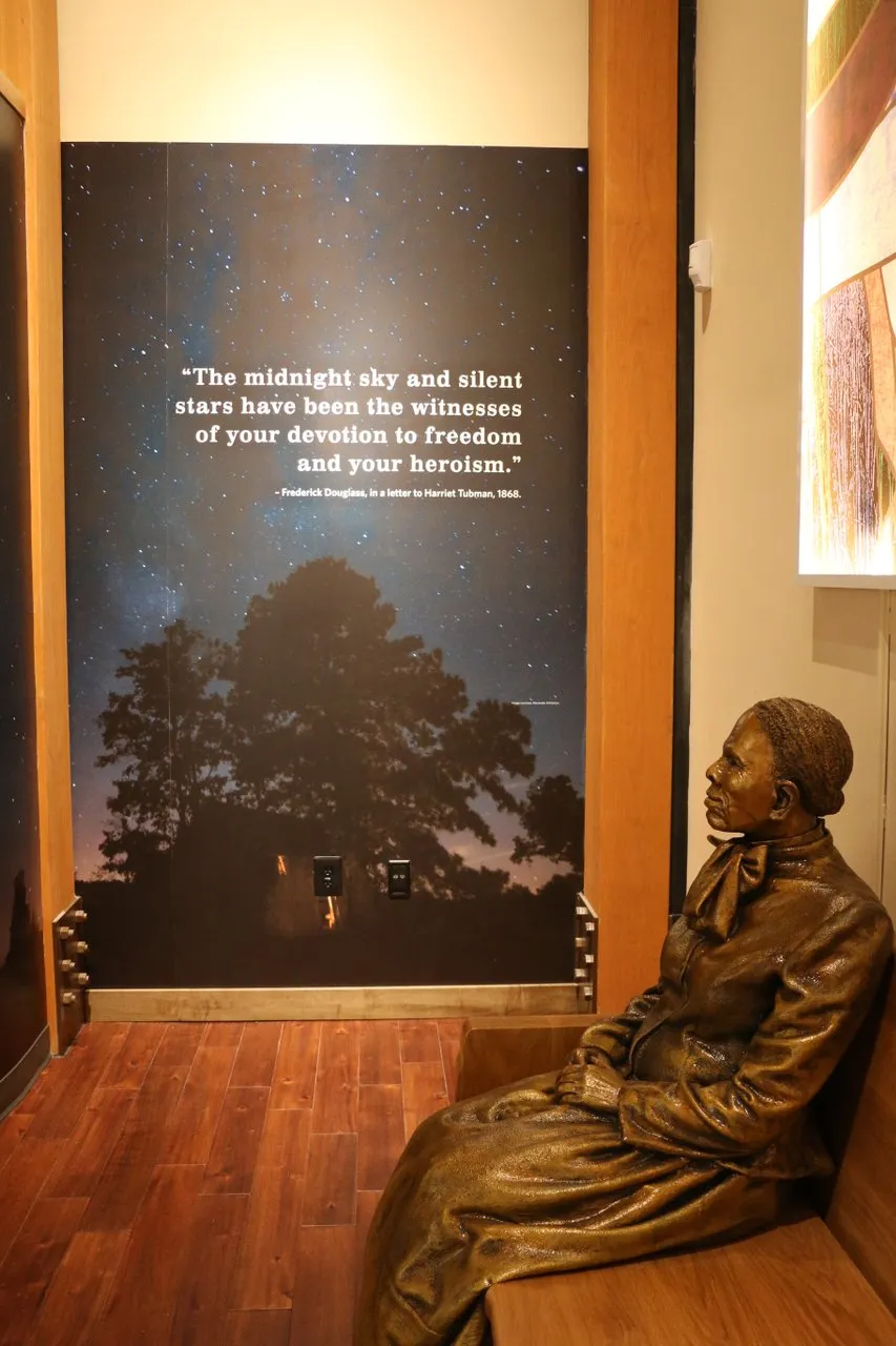 Harriet Tubman Is Famous for Being an Abolitionist and Political Activist, but She Was Also a Naturalist