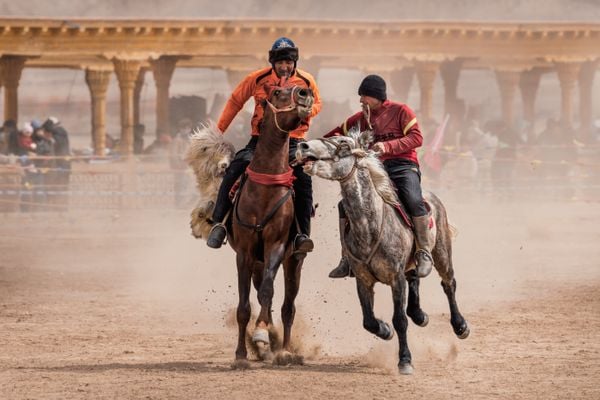 Buzkashi thumbnail