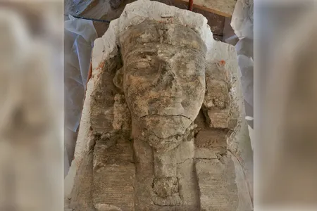 The head of one of the large sphinxes discovered in the funerary complex for Amenhotep III.