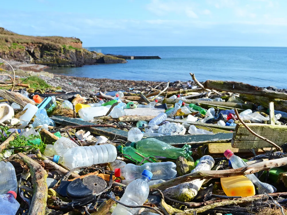 plastic trash including bottles on a beach with the ocean in the background