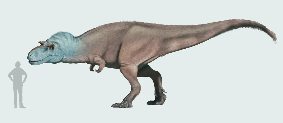 Gorgosaurus