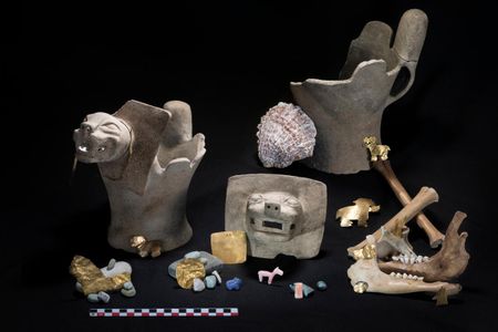 Typical Tiwanaku-period offerings at Khoa Reef in Lake Titicaca, Bolivia, including stone carvings and sacrificial animal bones. 