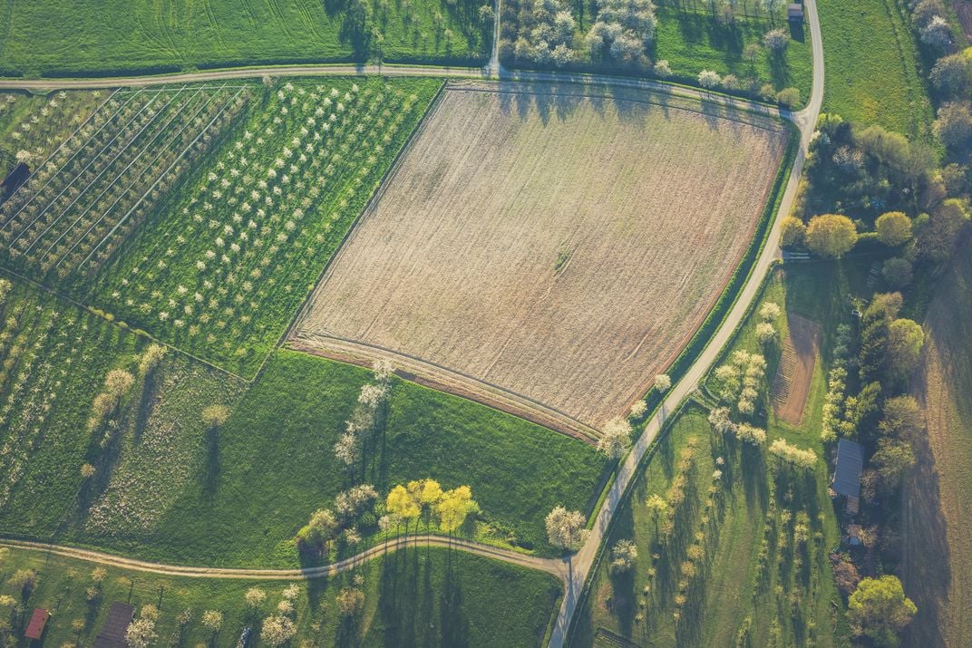 A mosaic of farmland.