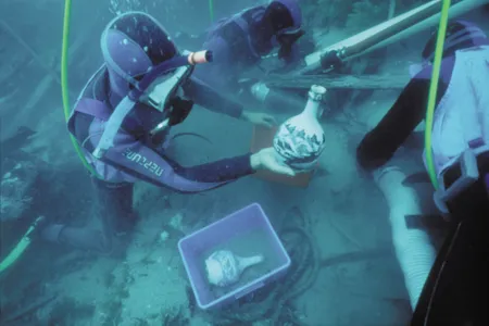A diver recovering a bottle of beer from the wreck of the Sydney Cove.
