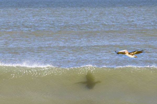 Surfing the air; Surfing the waves thumbnail