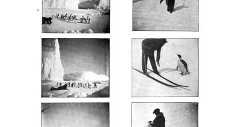 “Penguin Interviews,” via Frederick Cook’s Through the first Antarctic night, 1896-1899.