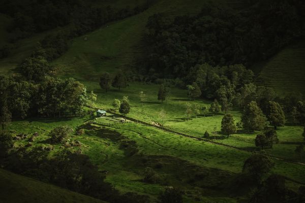 The light in the Valley thumbnail