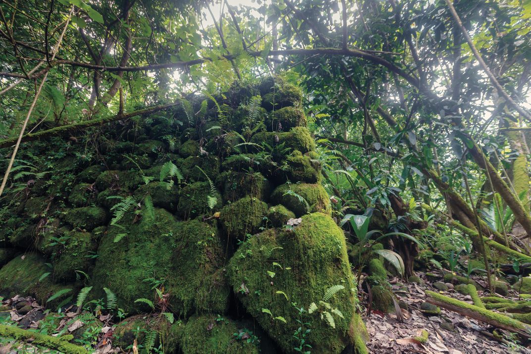 Taipi Valley ruins