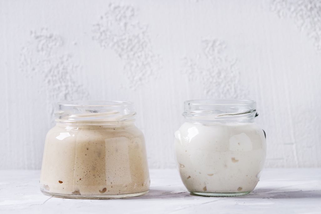 Rye and wheat sourdough starters