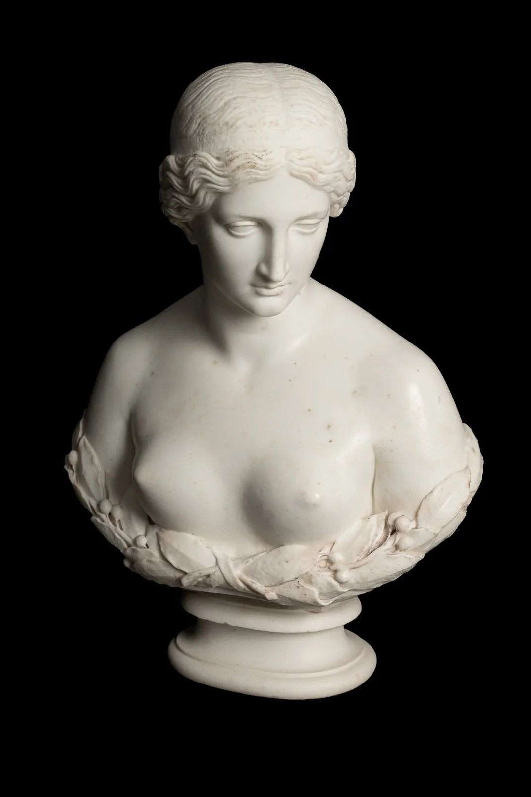 Daphne Bust