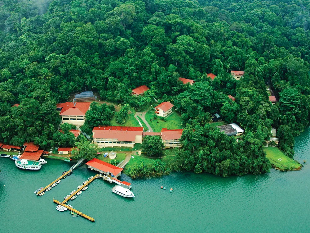 On June 3 live from Panama, Smithsonian Tropical Research Institute staff share their ground-breaking research on tropical forests and marine ecosystems.