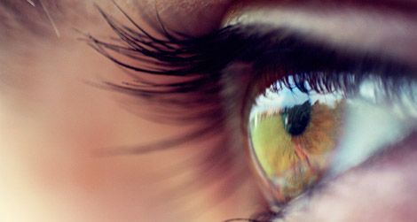 What can eye-tracking teach us?