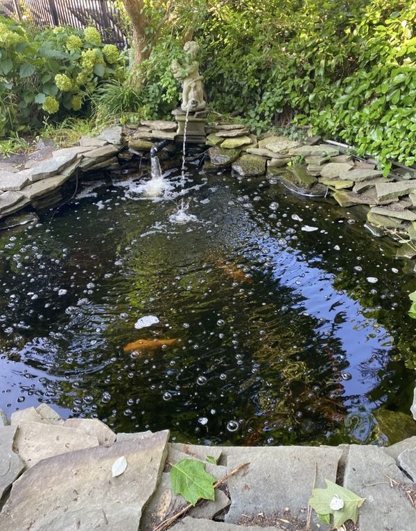 Fish pond thumbnail