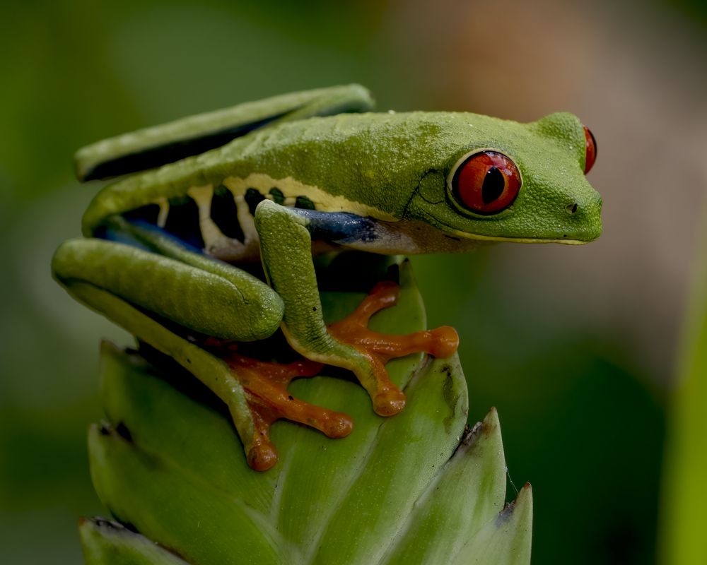 smithsonian-magazine-daily-newsletter