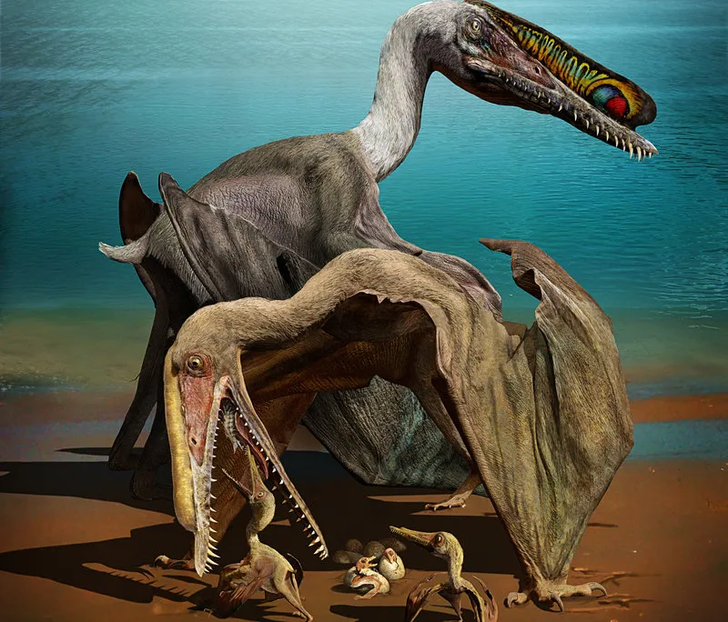 Pterosaur Babies