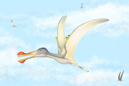This illustration is an artist's interpretation of what a toothed pterosaur may have looked like 100 million years ago.