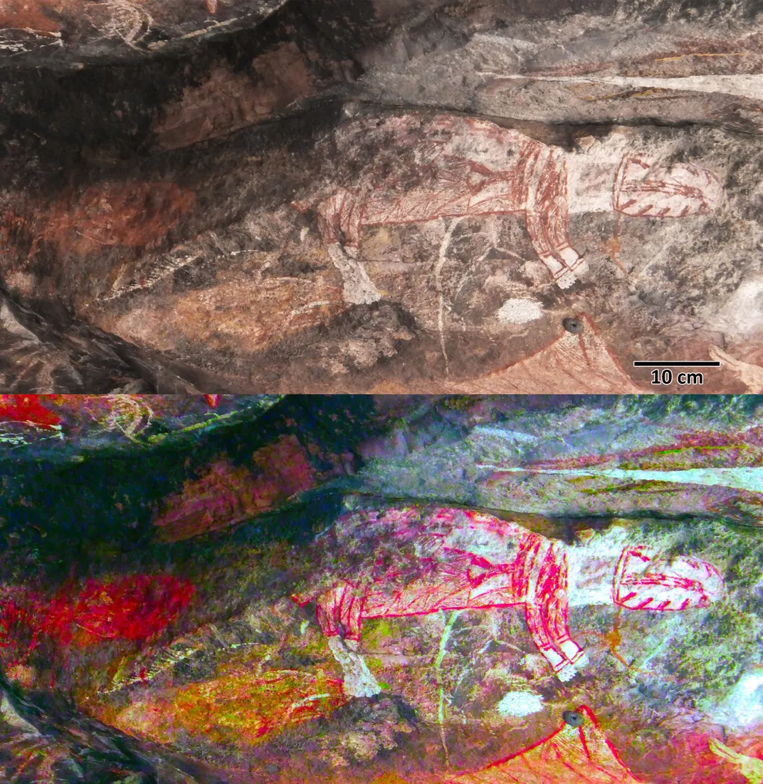 Red and white rock art depicting of a thylacine