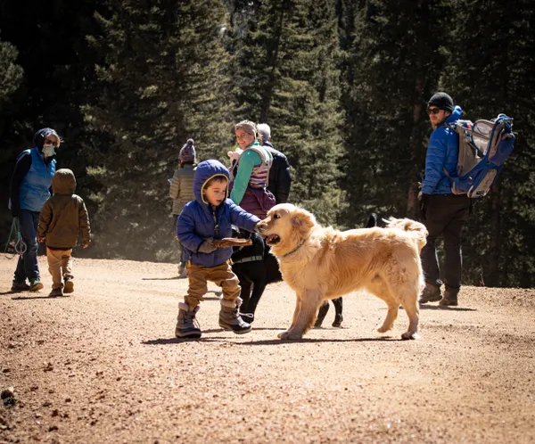 Stick Fight thumbnail