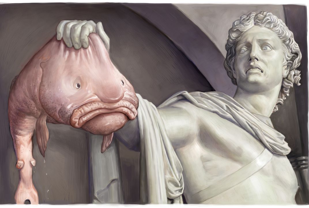 Blobfish In Water