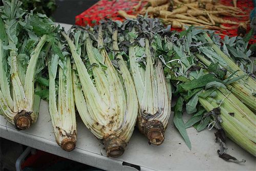 Baked cardoons