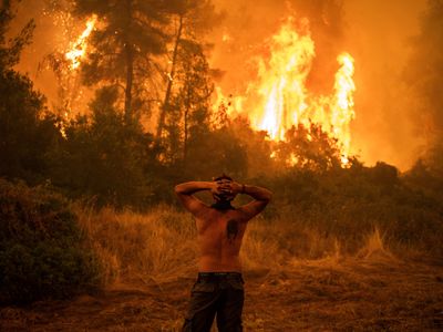 Wildfire during Greece&#39;s 2021 heatwave, which experts&nbsp;have linked to climate change