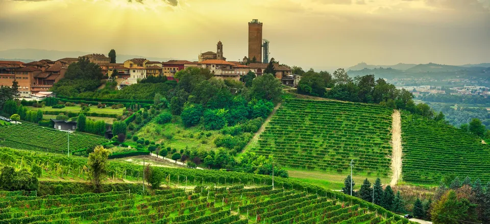  Panorama of Langhe with village and vineyard, Barbaresco  