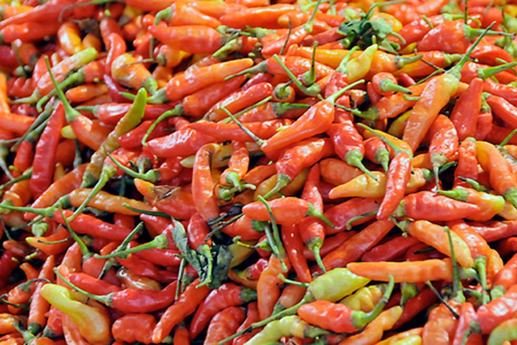 FoodandThink-Chili-Peppers-631.jpg