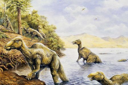 Edmontasaurus, a duckbilled creature weighing around 7,000 pounds that could walk on two or four legs, was an average-sized dinosaur.
