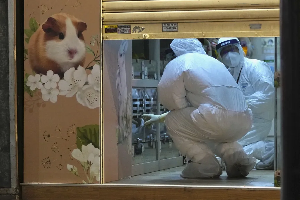 Two people in hazmat suits crouch inside a pet shop.
