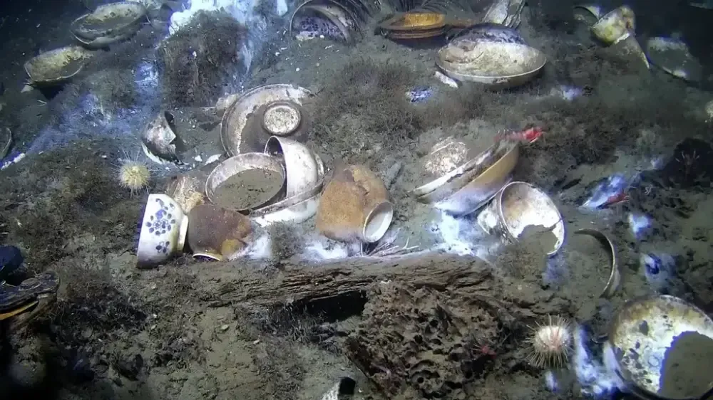 An underwater view of ceramic dishes