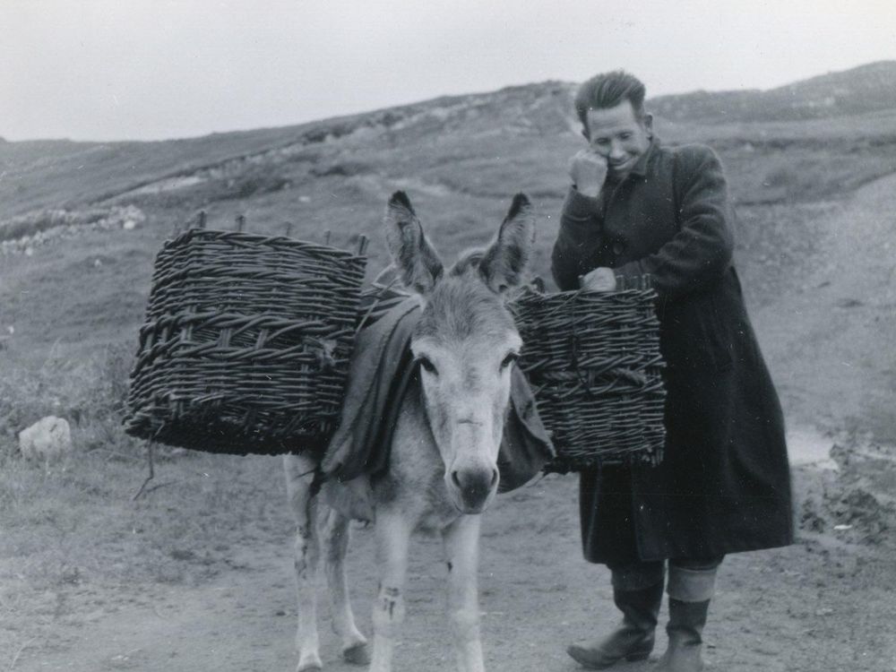 Man with a Donkey