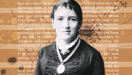 Meet the Forgotten Woman Who Revolutionized Microbiology With a Simple Kitchen Staple