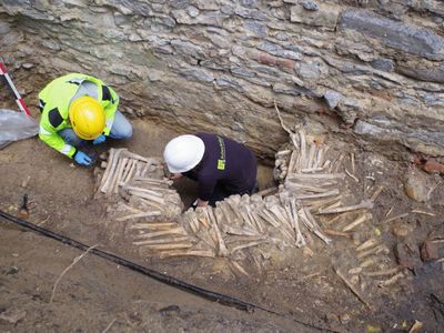 Archaeologists uncovered nine walls made of human bones beneath Saint Bavo's Cathedral in Ghent, Belgium.