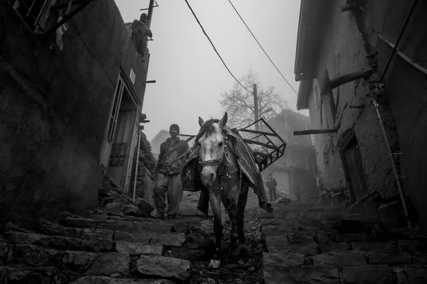 The Hardworking Horse thumbnail