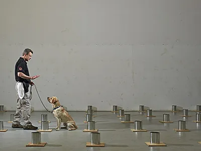 Bomb dog and trainer