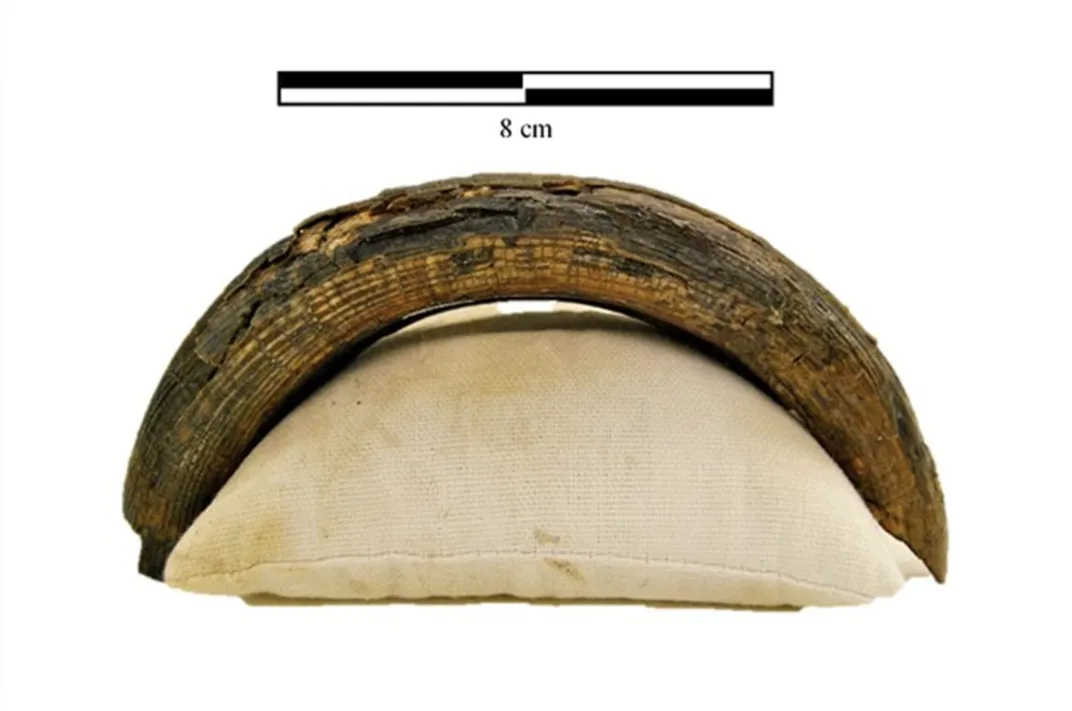A complete Castoroides ohioensis upper incisor from Old Crow, Yukon Territory, Canada