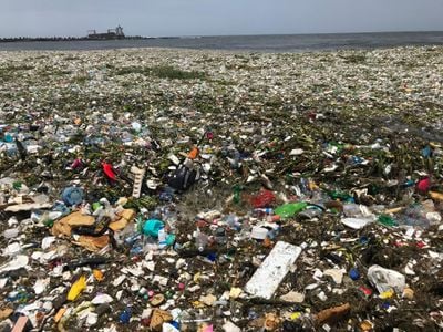 The "dense garbage carpet" that is washing onto Montesinos Beach in Santo Domingo