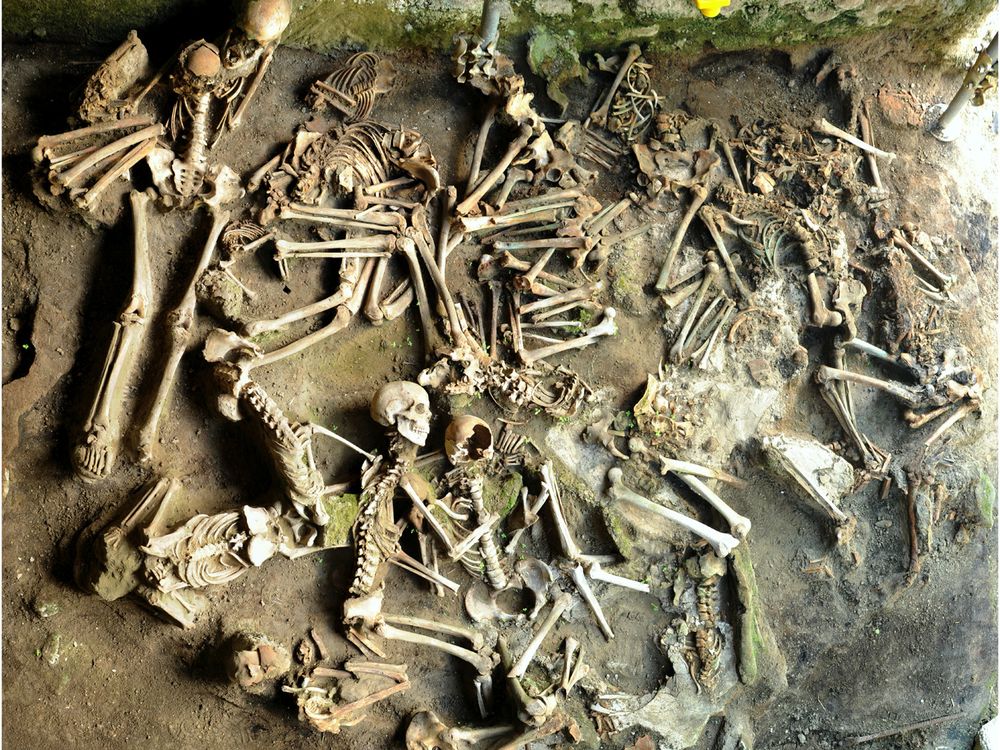 Herculaneum skeletons