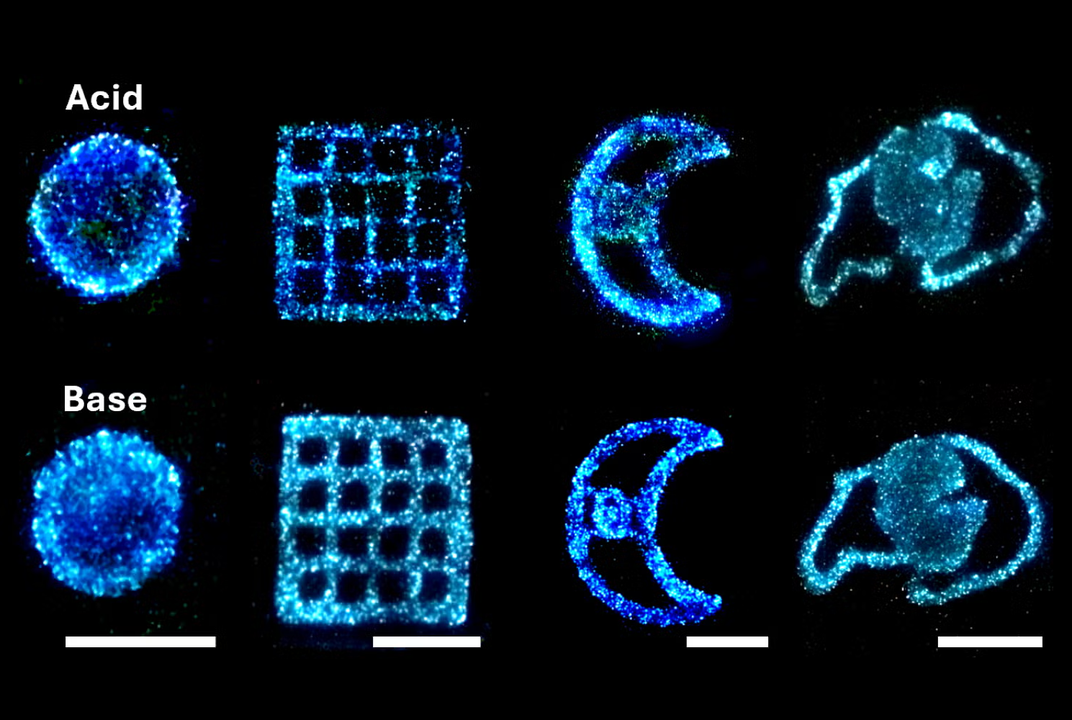 smithsonianmag.com - Sara Hashemi - These Marine Algae Glow When Waves Disturb Them. Their Bioluminescence Could Power Electricity-Free Lamps of the Future