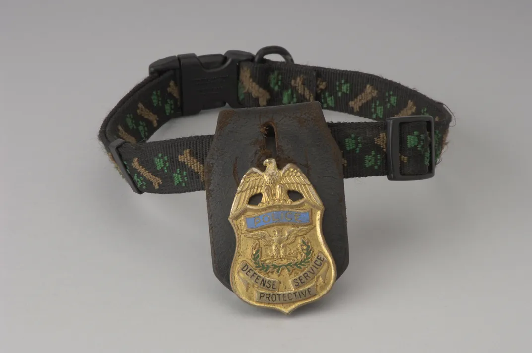 This collar was worn by Vito, a bomb-smelling dog from the Defense Protective Police at the Pentagon.