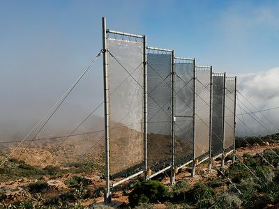 Mesh billboards on the Moroccan mountainside will soon be joined by numerous others—a planned 31 in all—to create the world’s largest fog collection facility.